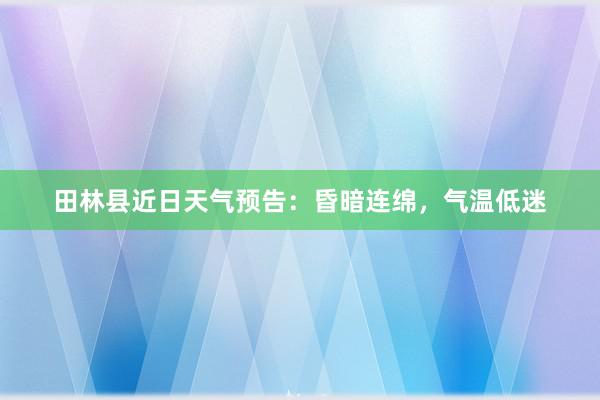 田林县近日天气预告：昏暗连绵，气温低迷